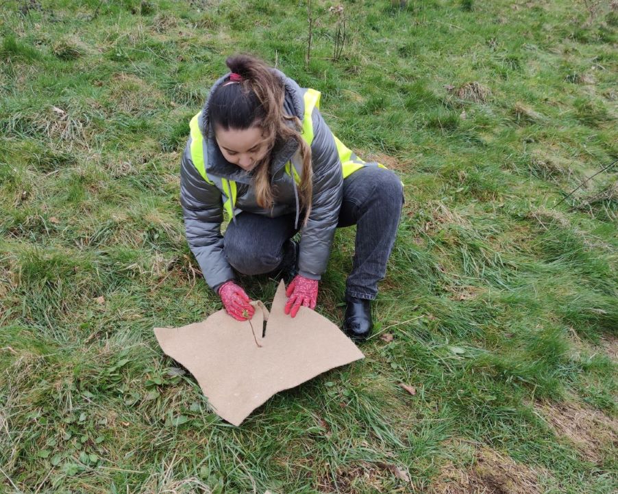 Tree planting-blankets 1