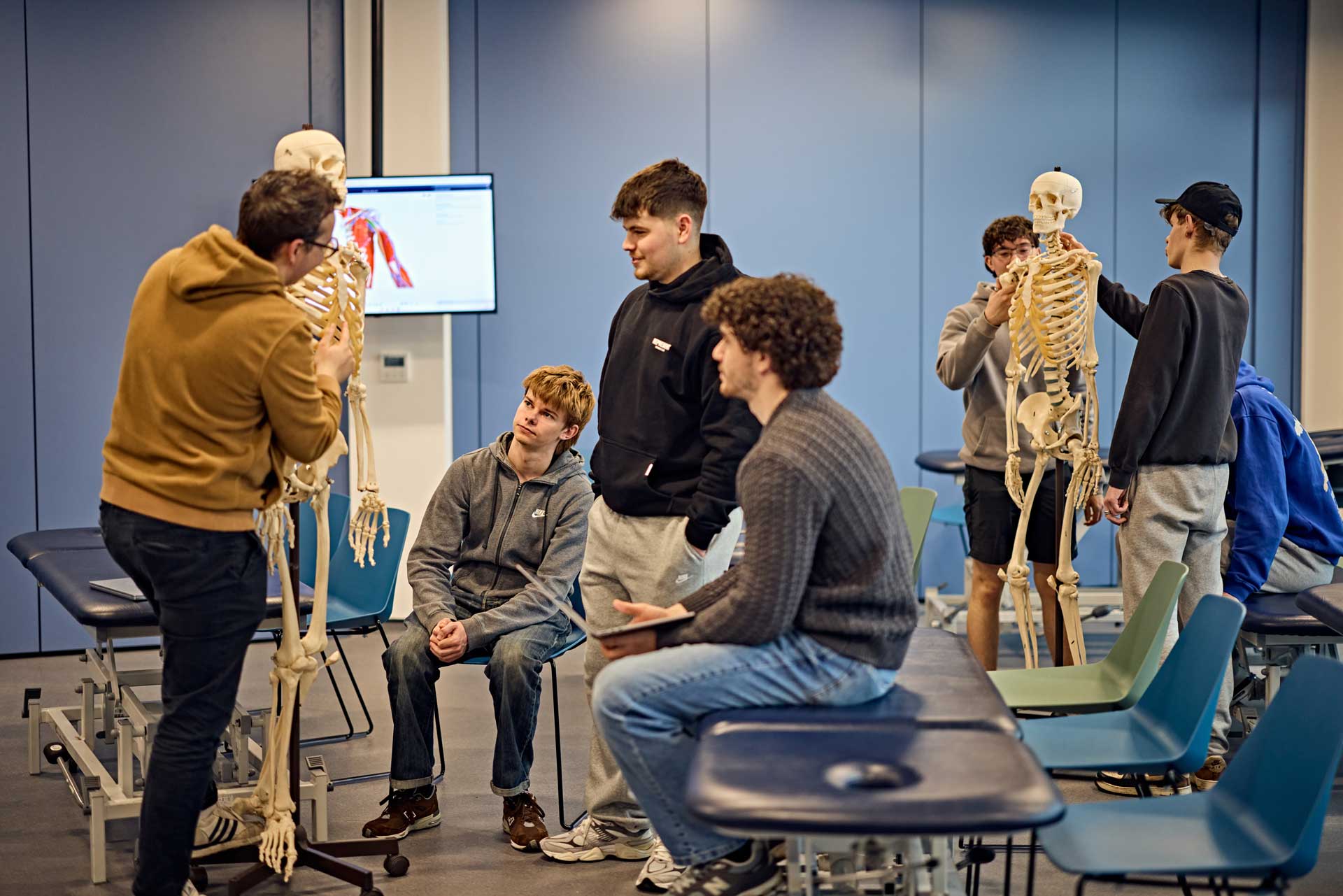 Musculoskeletal anatomy practical session